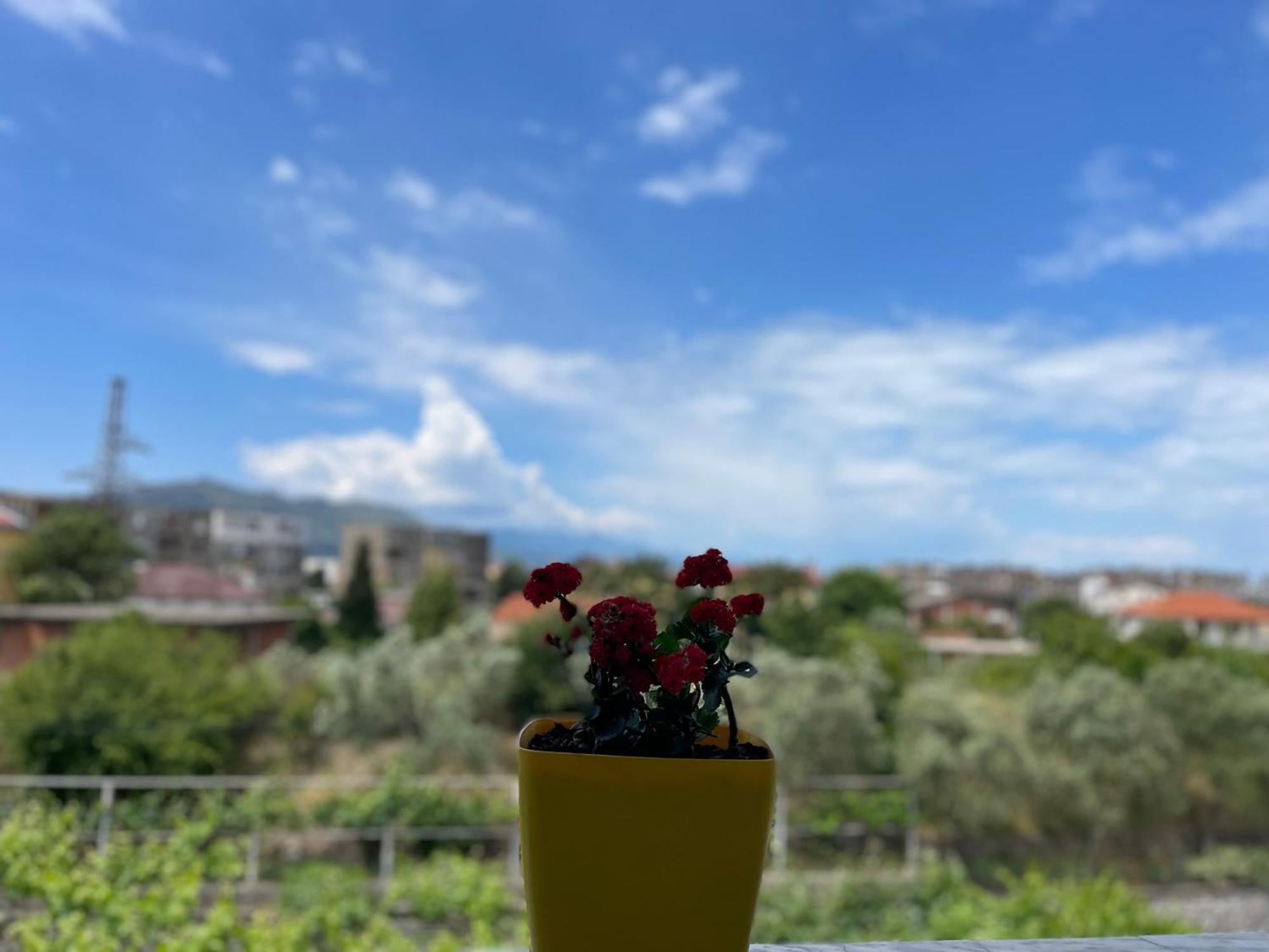 Prela'S Rooms Shkodra Kültér fotó